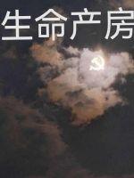 ӵָҺձ